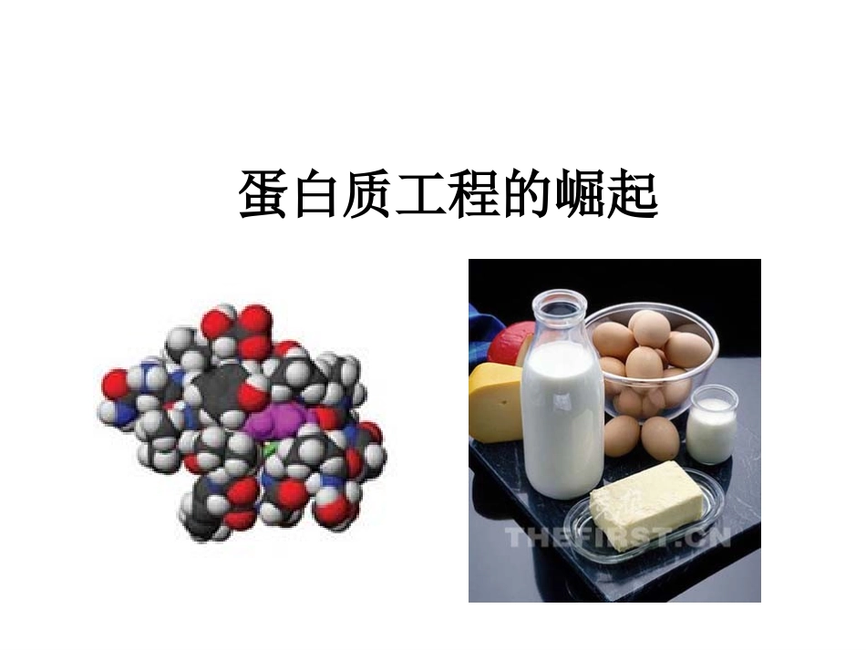 1.4-蛋白质工程的崛起-(3)_第1页