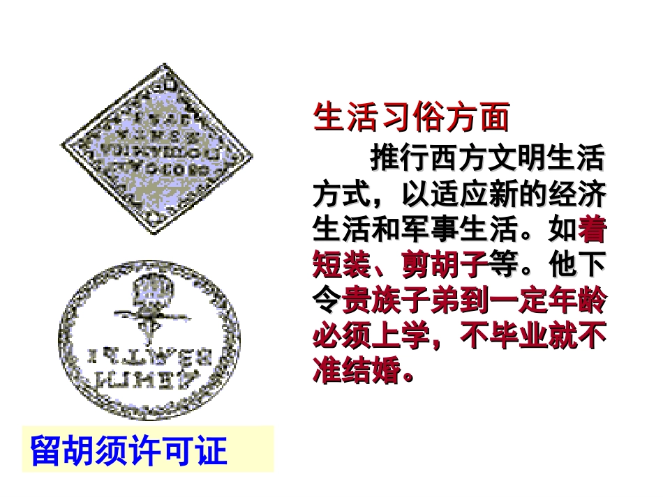 历史与社会(人教版)八年级下册：第七单元第三课-俄国改革_第3页