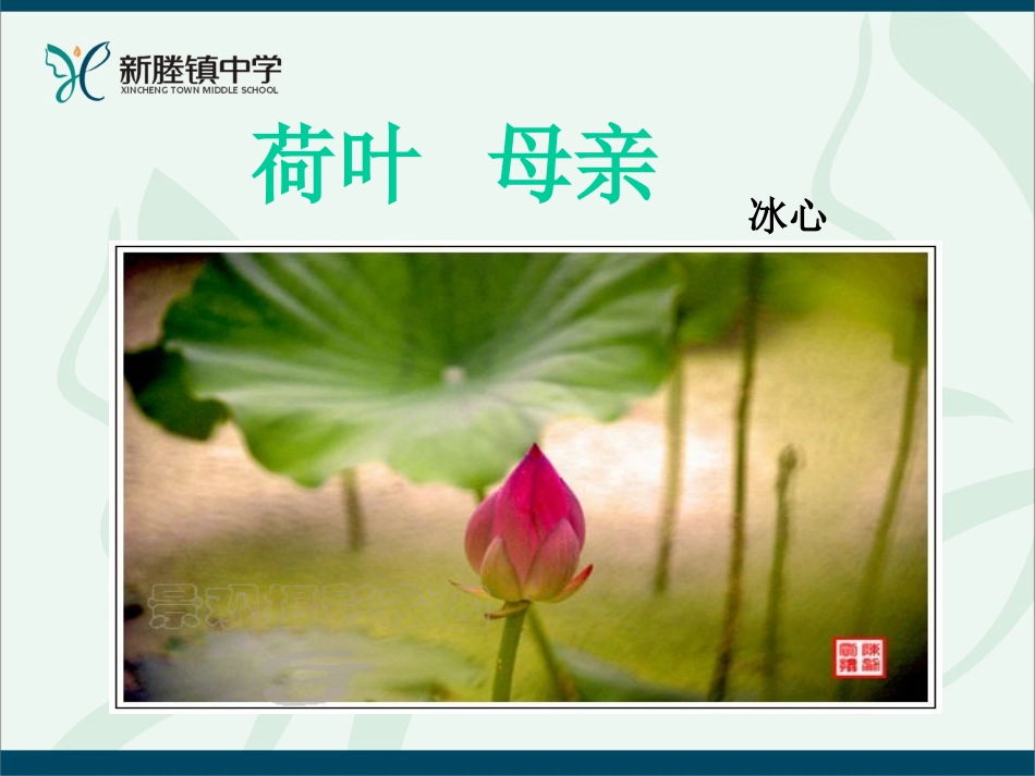 (部编)初中语文人教2011课标版七年级上册荷叶--母亲-(3)_第1页