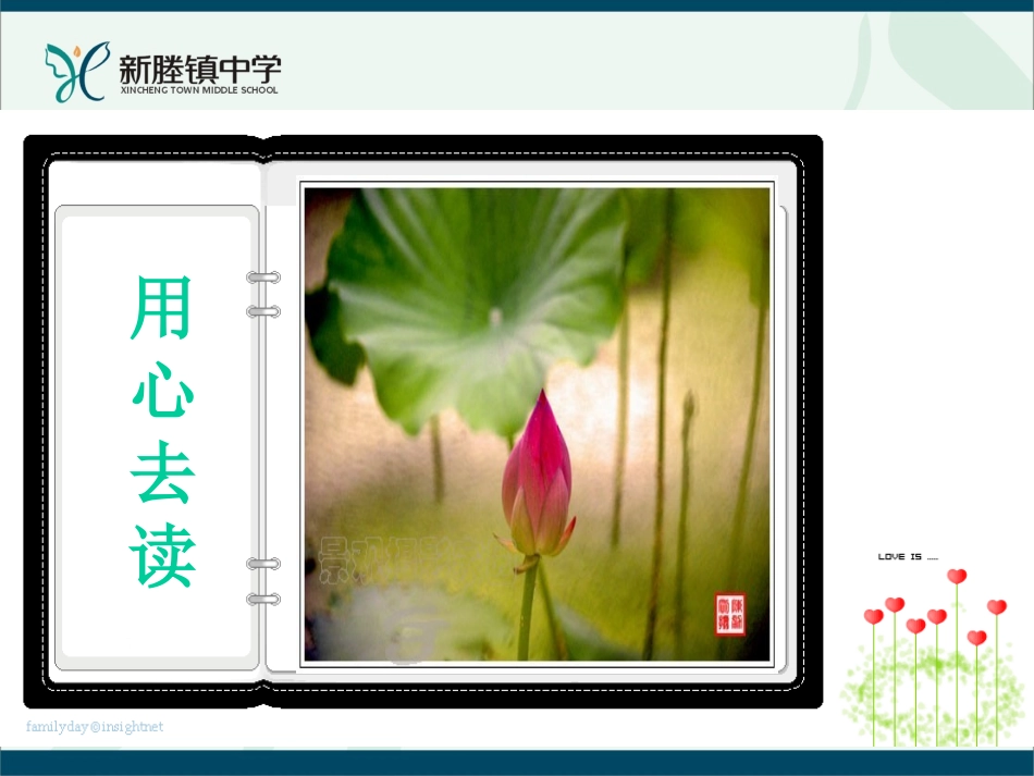 (部编)初中语文人教2011课标版七年级上册荷叶--母亲-(3)_第2页