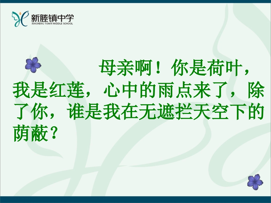 (部编)初中语文人教2011课标版七年级上册荷叶--母亲-(3)_第3页