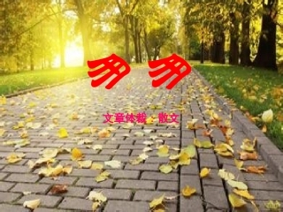 5-匆匆-(3)
