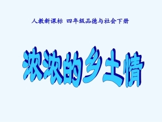 1.3浓浓的乡土情