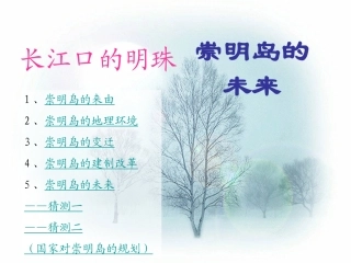 问题研究-崇明岛的未来是什么样子