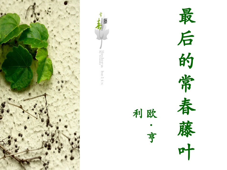 《最后的常春藤叶》课件2_第1页