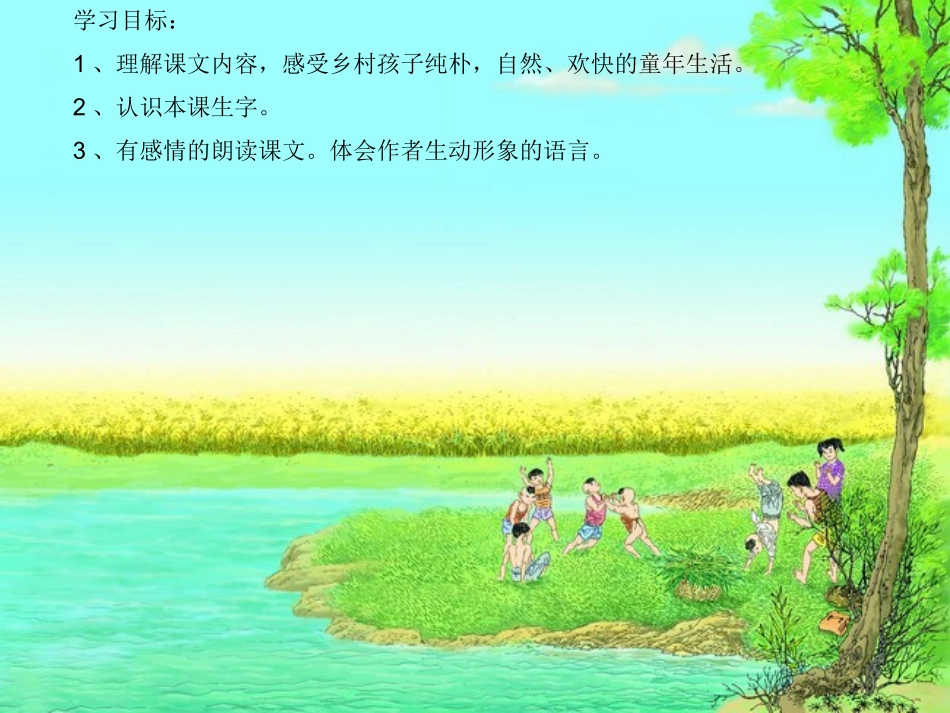24-麦哨课件_第2页
