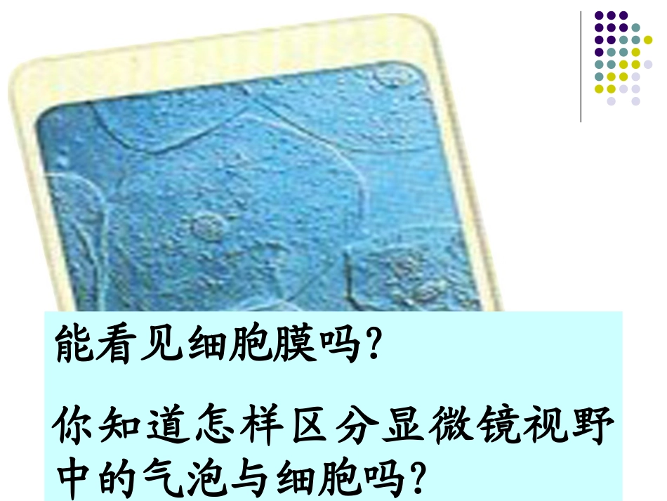 第一节细胞膜的结构与功能-(2)_第2页