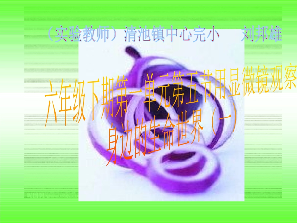 观察我们身边的真菌_第1页