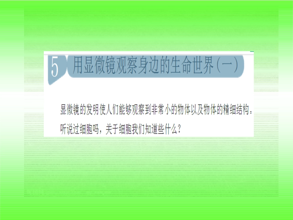 观察我们身边的真菌_第2页