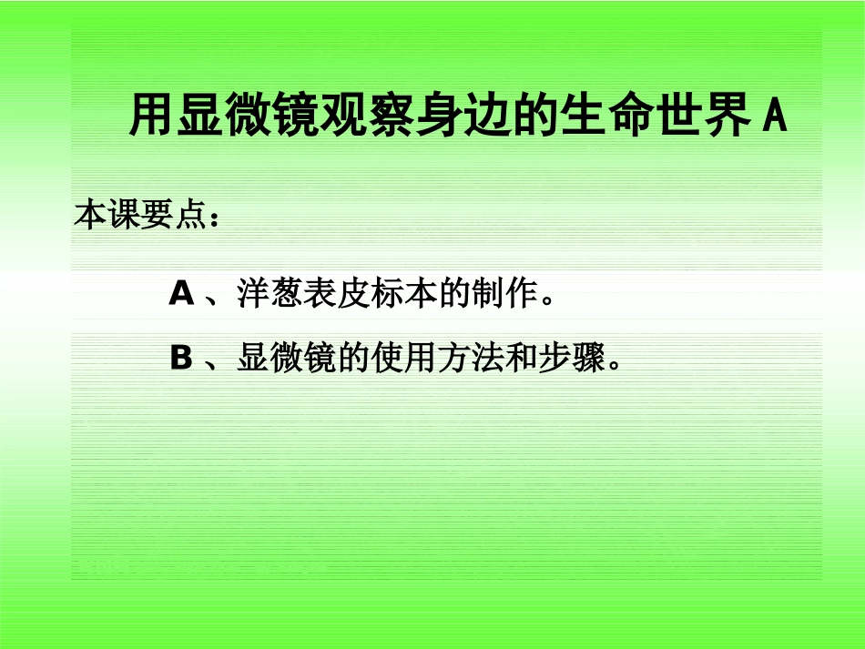 观察我们身边的真菌_第3页