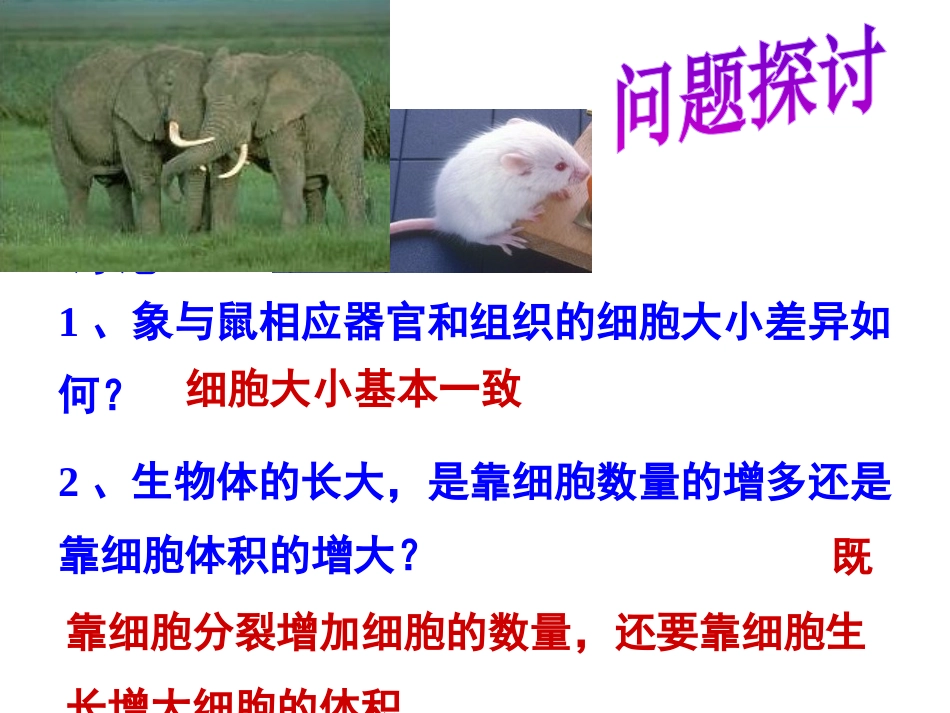 第一节细胞的增殖_第2页