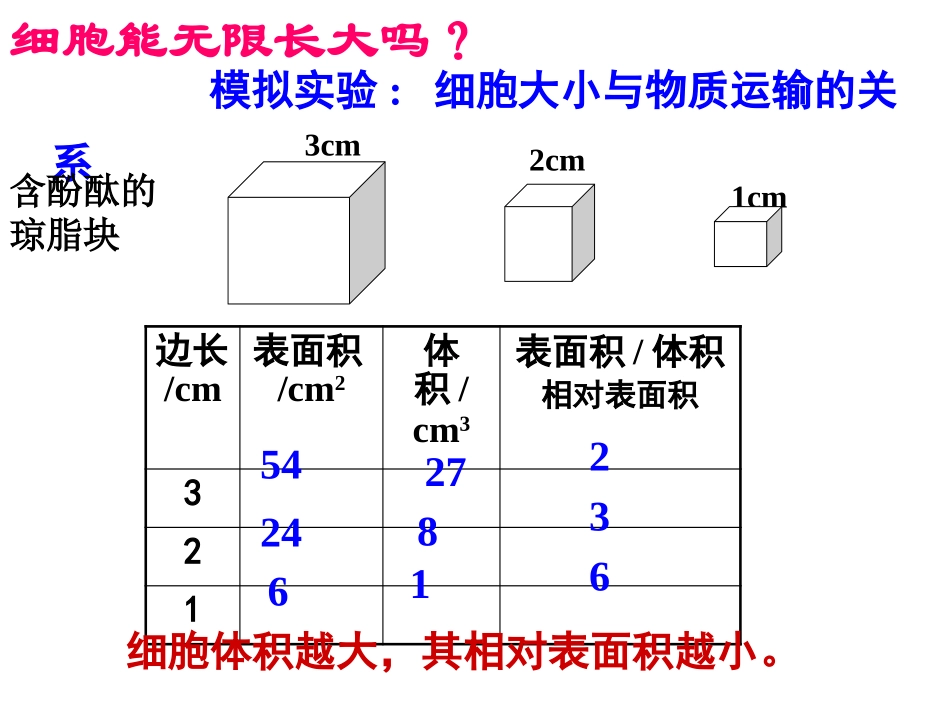 第一节细胞的增殖_第3页