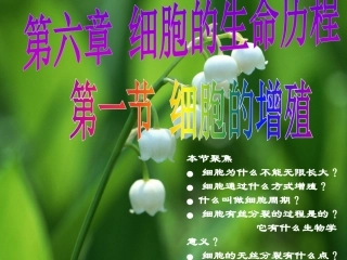 第一节细胞的增殖