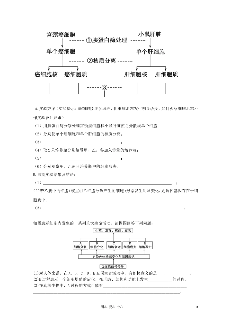 2012届高三生物二轮专题提高训练-细胞的生命历程4_第3页