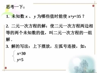 知识延伸-建立二元一次方程组