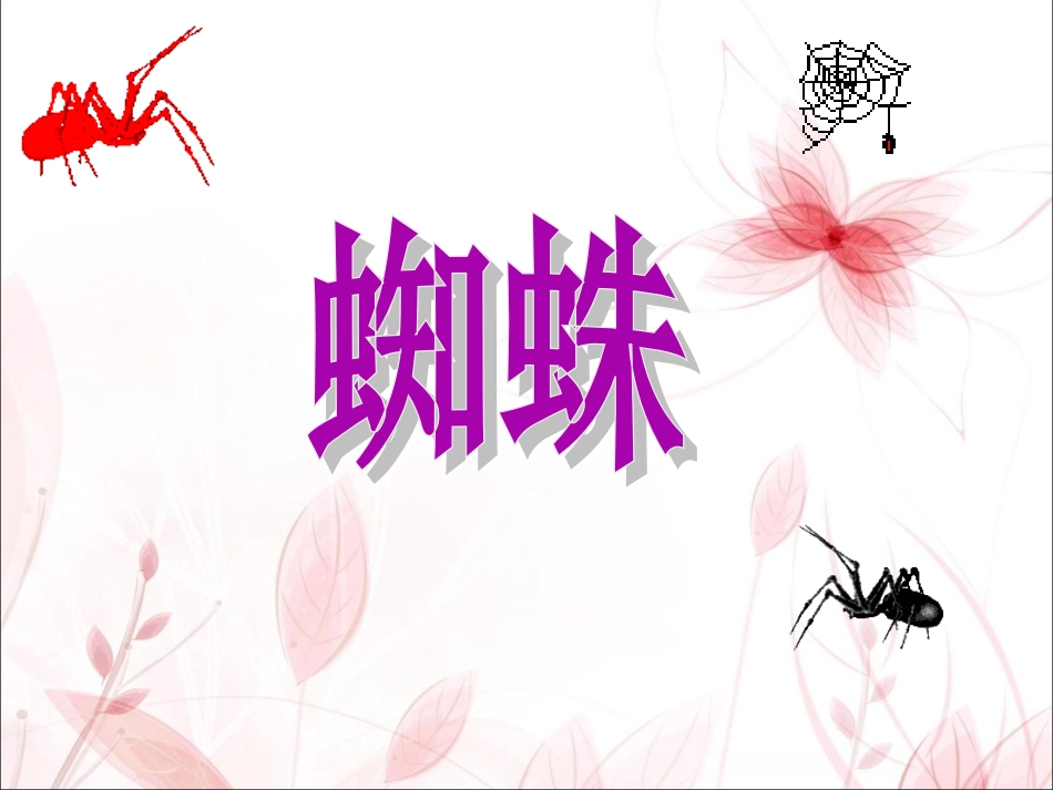 (2017年春季版)《蜘蛛》课件1_第1页
