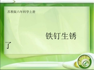2铁钉生锈了