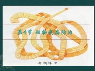 高中生物：-114-动物疫病防治(课件)中图版选修2