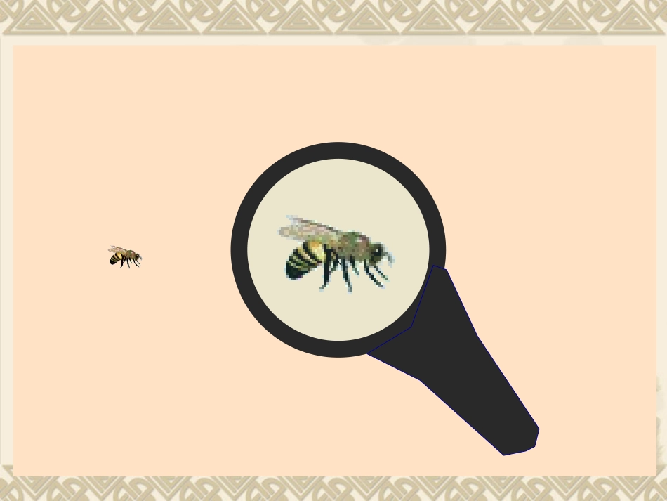 图形的放大与缩小(修改后)_第1页