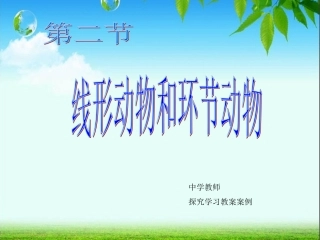 八年级上人教线形动物和环节动物