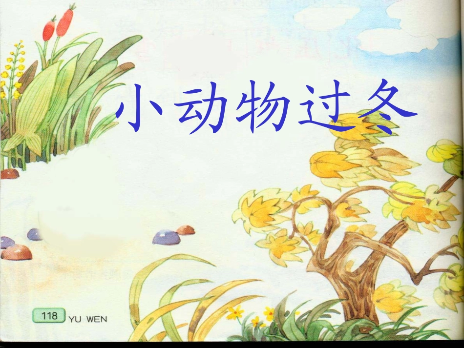 《小动物过冬》教学课件一_第1页