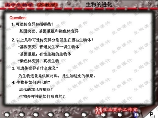 高中生物的进化全部课件苏教版必修2