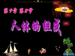 9.2人体的组成