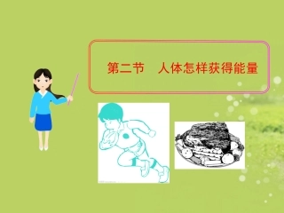 七年级生物下册-第二章-第二节-人体怎样获得能量课件-济南版