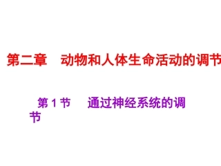 高中生物-2.1《通过神经系统的调节》课件(2)新人教版必修3