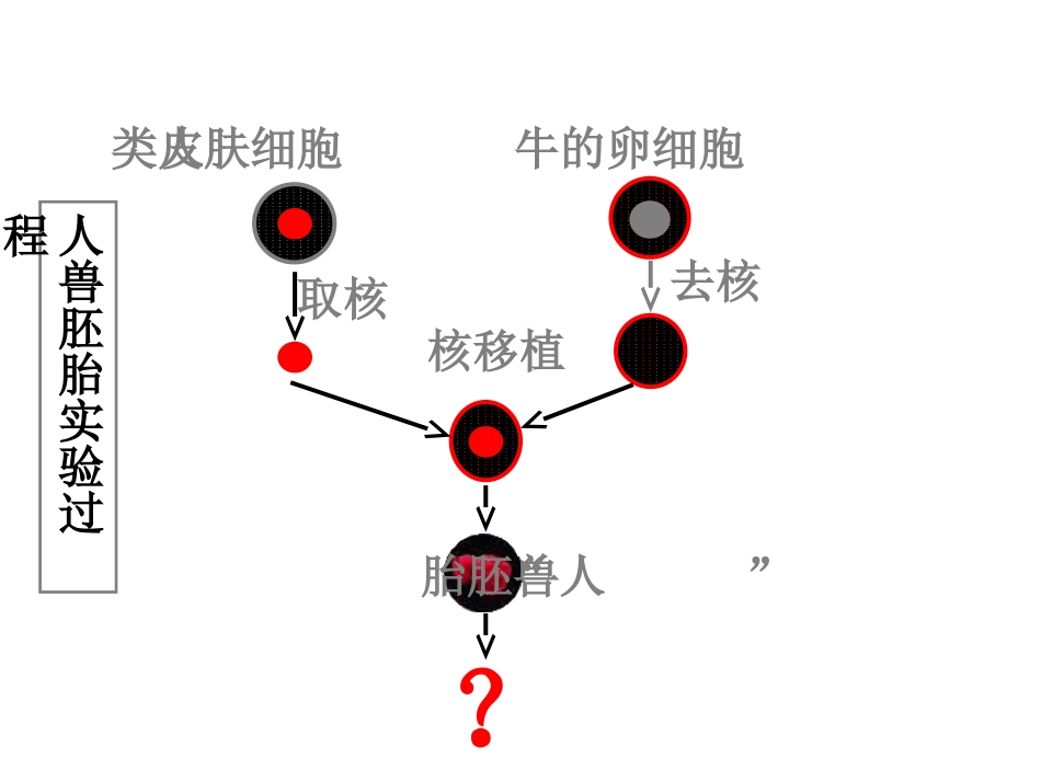 第四节细胞核_第2页