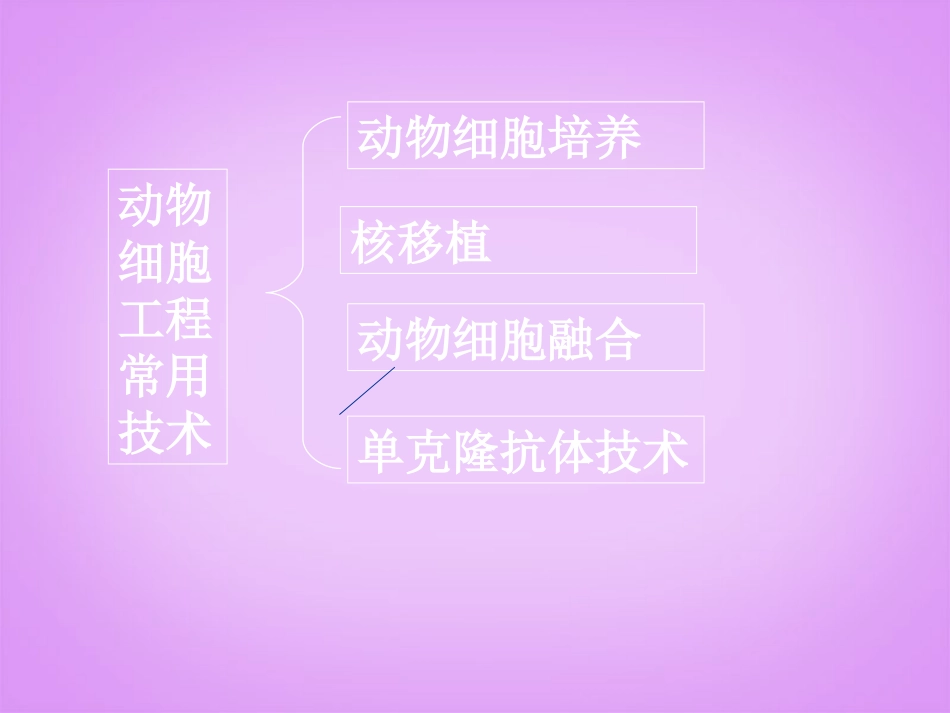 浙江省桐乡市第一中学高中生物-动物细胞工程课件-新人教版选修3_第2页