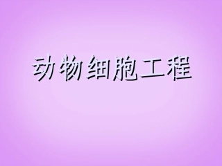 浙江省桐乡市第一中学高中生物-动物细胞工程课件-新人教版选修3