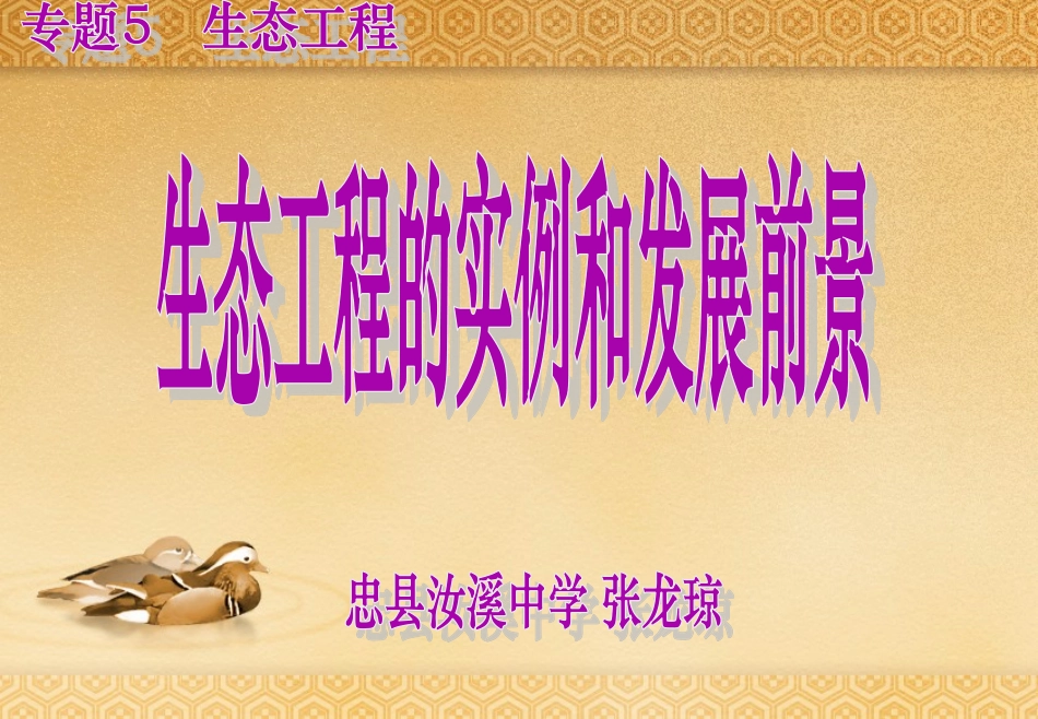 5.2-生态工程的实例和发展前景-(4)_第1页