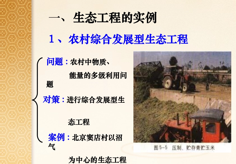 5.2-生态工程的实例和发展前景-(4)_第3页