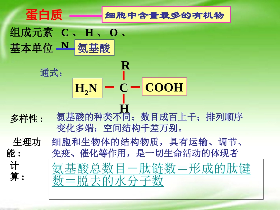 云南省西盟佤族自治县第一中学高考生物总复习-2.3《遗传信息的携带者-核酸》课件(人教版_第1页