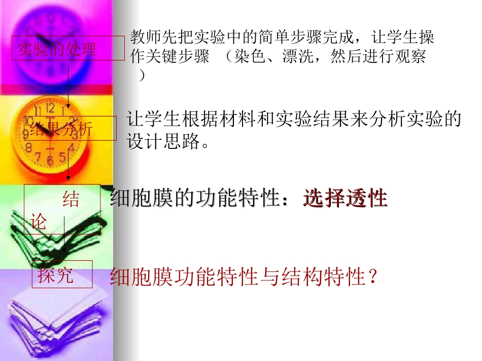 高中生物：-22-细胞膜和细胞壁(课件)浙科版必修1_第3页