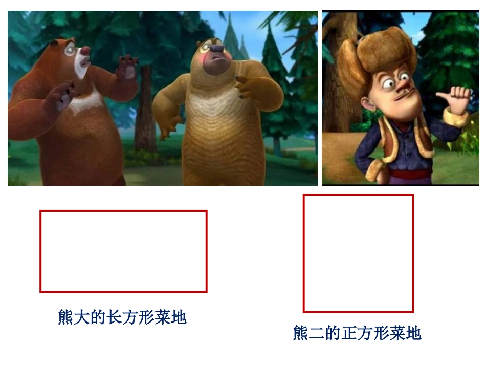 4.长方形和正方形的面积复习_第2页