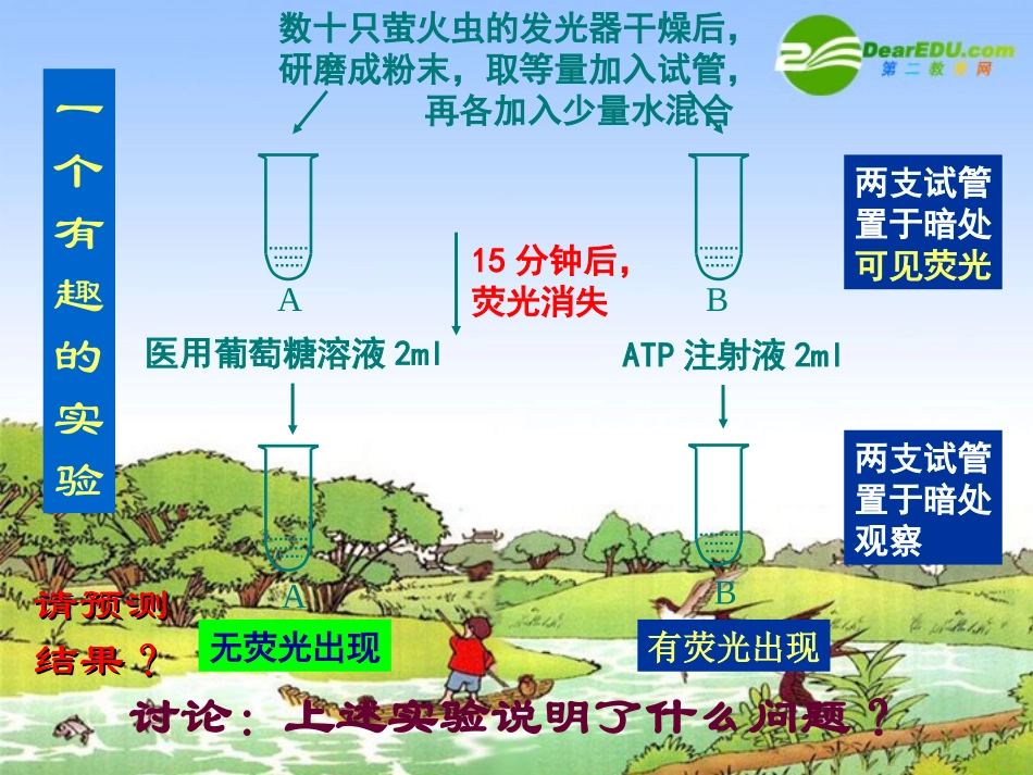 高中生物：第四章-第1节-ATP和酶(一)课件苏教版必修1_第3页