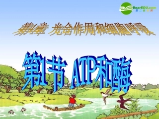 高中生物：第四章-第1节-ATP和酶(一)课件苏教版必修1