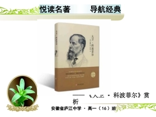 《大卫·科波菲尔》-(3)