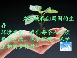 生态系统的概念和类型