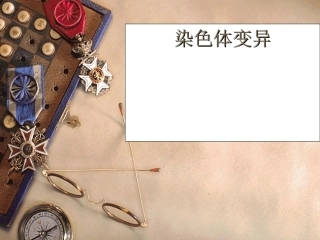 高中生物染色体变异3课件人教版必修2