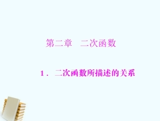 二次函数所描述的关系课件