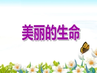 《美丽的生命》课件1