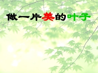 做一片美的叶子第二课时