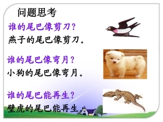 《比尾巴》问题思考