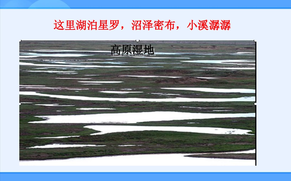 八年级下册9.2高原湿地—三江源地区课件_第3页