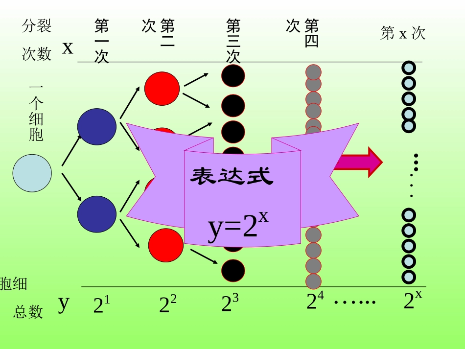 指数函数及其性质(课件)上课用_第3页