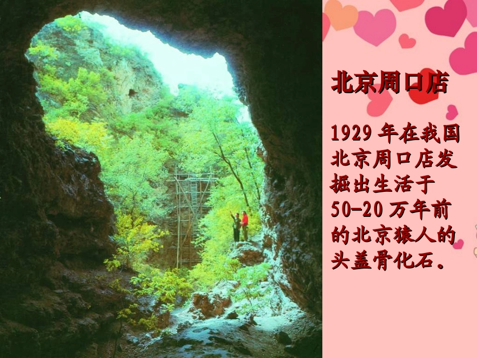 甘肃省白银市会宁县新添回民中学八年级生物下册-人类的起源和进化课件_第2页