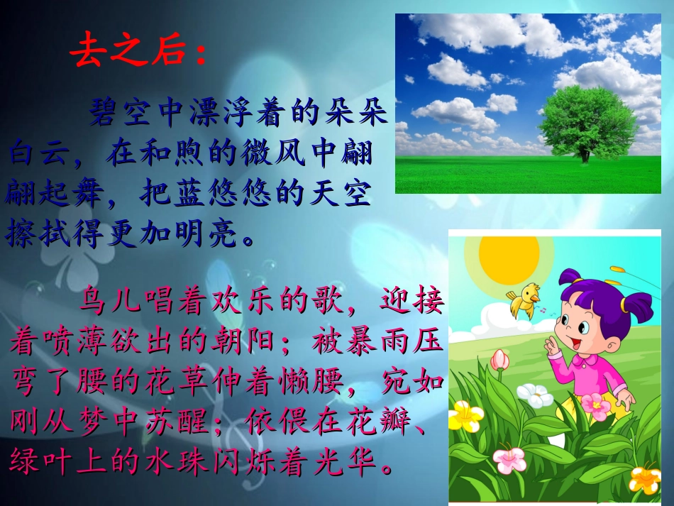 《暴风雨的启示》课文详解——暴风雨去之后-(2)_第1页